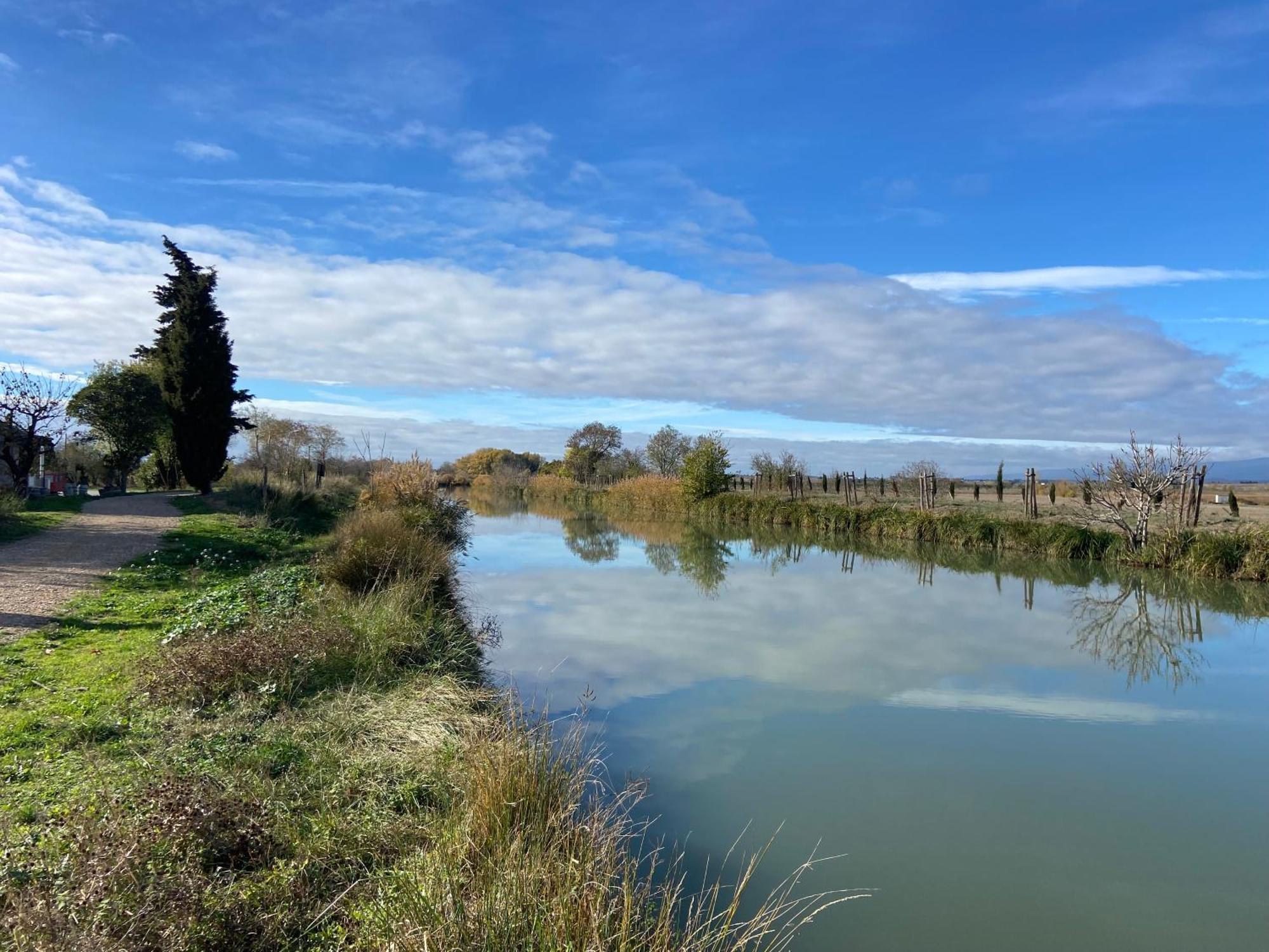 Maison, Canal Du Midi Piscine Homps  Kültér fotó